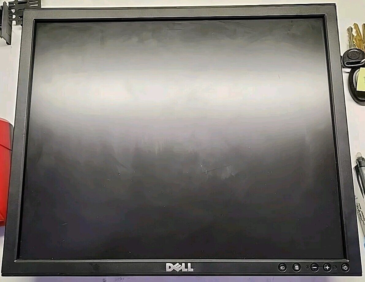 DELL P190Sb 19" LCD computer Professional panel monitor screen display Free Ship