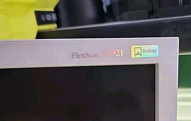 Eizo FlexScan S1921 19" Display Monitor - Free Shipping